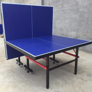 INDOOR TABLE TENNIS BOARD